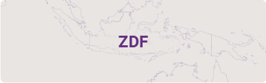 Schriftzug ZDF