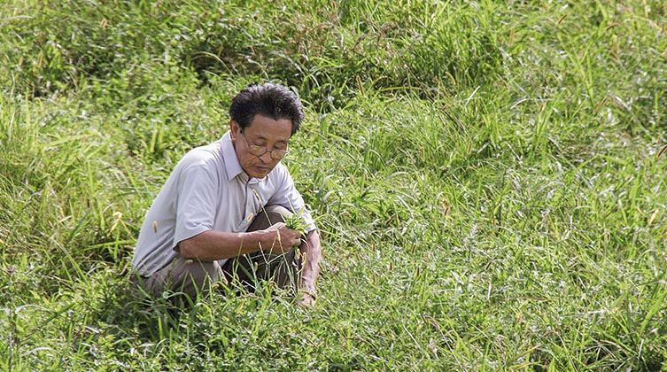 Koreanischer Mann auf einer grünen Wiese