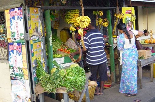 Zwei Personen stehen vor einem Obstmarkt